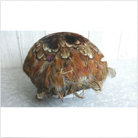 *Vintage 40s 50s Handmade Pheasant Breast Pill Box main image 8